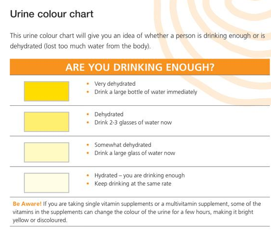 Urine Odor Chart